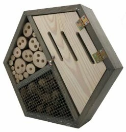 Daktuin Beezzz 'n Bio Daktuinpakket -COPPELMANS Winkel beezzz n bio daktuinpakket 2156x2240 62861f3405f59 l