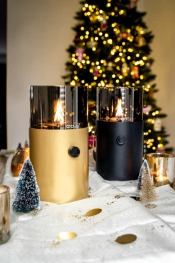 Cosiscoop Original Gold Smoked -COPPELMANS Winkel cosiscoop original gold smoked 962x1443 6398a092aa922 l