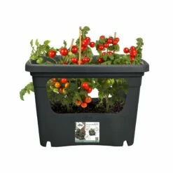 Elho Plantenbak Green Basics Stack & Grow Large Zwart -COPPELMANS Winkel elho plantenbak green basics stack grow large zwart 800x800 620e3d4eed857 l