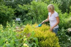 GARDENA Accu Gras- En Buxusschaar Set Accucut Li 8 GARDENA Accu Gras- En Buxusschaar Set Accucut Li -COPPELMANS Winkel gardena accu gras en buxusschaar set accucut li 1619704816 l