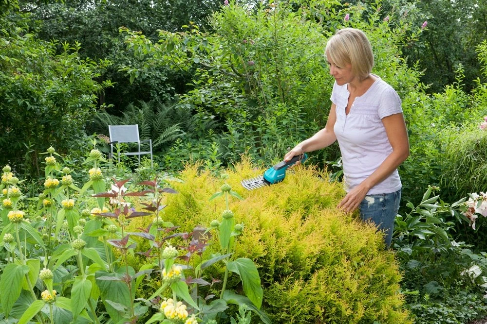 GARDENA Accu Gras- En Buxusschaar Set Accucut Li 5 GARDENA Accu Gras- En Buxusschaar Set Accucut Li - Afbeelding 3