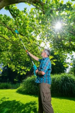 GARDENA Accu Telescopische Snoeizaag TCS 20/18 P4A Solo -COPPELMANS Winkel gardena accu telescopische snoeizaag tcs 20 18 p4a solo 1000x1500 640af3255d2cf l