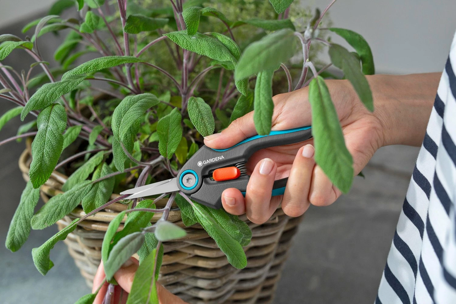 GARDENA FreshCut 6 GARDENA FreshCut - Afbeelding 4