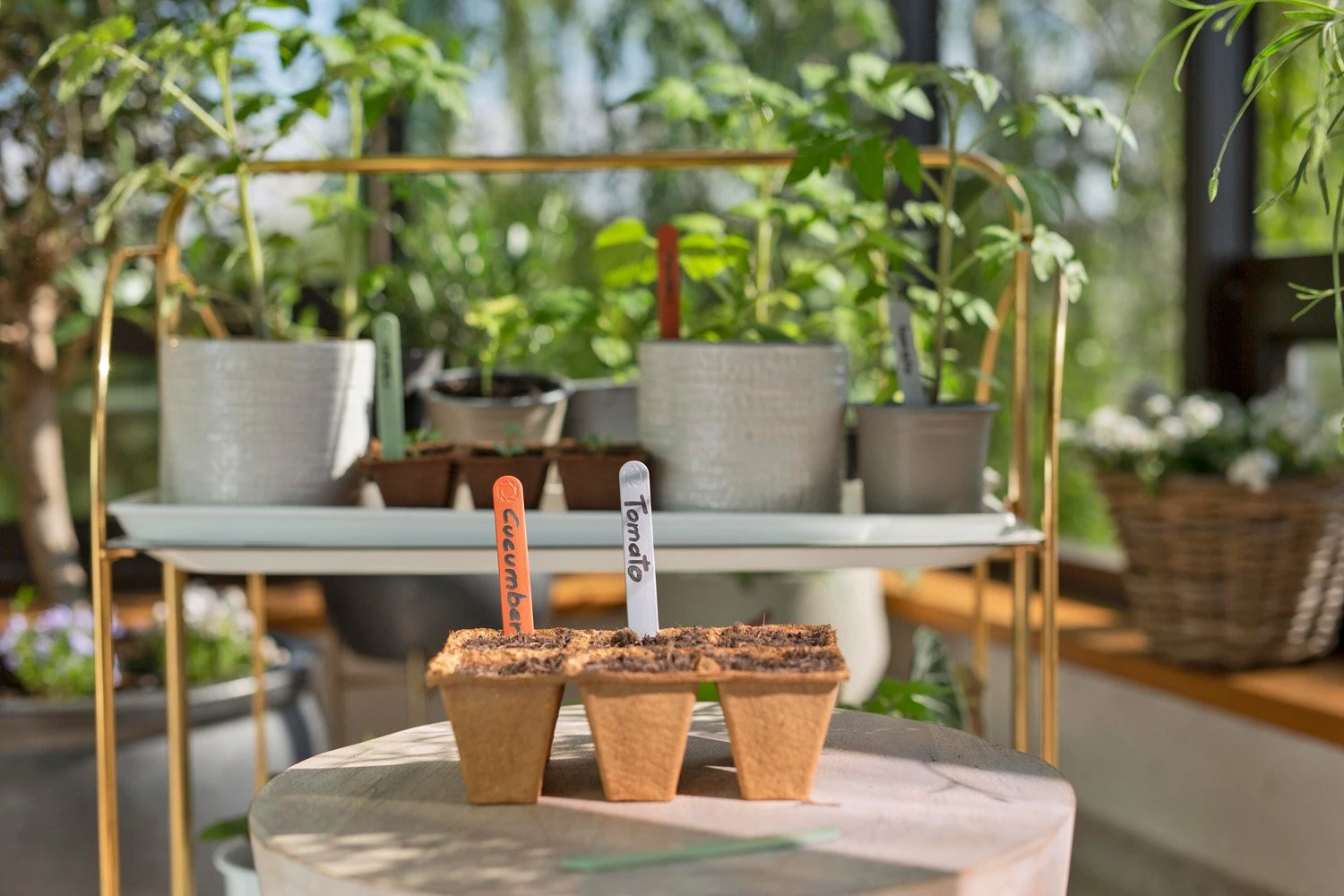 GARDENA FreshCut Set 6 GARDENA FreshCut Set - Afbeelding 4