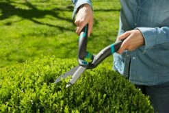 GARDENA PrecisionCut Buxusschaar -COPPELMANS Winkel gardena precisioncut buxusschaar 1500x1000 640af7c8df197 l