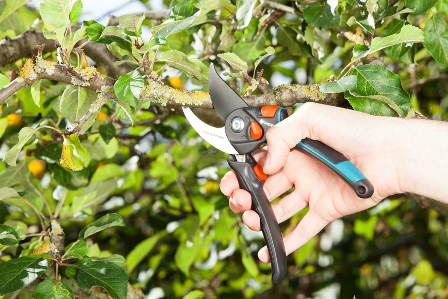 GARDENA Comfort Snoeischaar B/S-XL 5 GARDENA Comfort Snoeischaar B/S-XL - Afbeelding 3