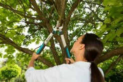 GARDENA Takkenschaar EasyCut 500 B -COPPELMANS Winkel gardena takkenschaar easycut 500 b 1500x1000 640af7e5d4f80 l