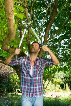 GARDENA Takkenzaag EasyCut 680 B (12003 + 8754 E12) -COPPELMANS Winkel gardena takkenschaar easycut 680 b 8754 1000x1500 640af7ec497bd l