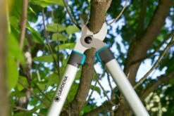 GARDENA Takkenzaag EasyCut 680 B (12003 + 8754 E12) -COPPELMANS Winkel gardena takkenschaar easycut 680 b 8754 1500x1001 640af7ebad3ab l