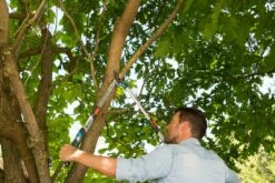 GARDENA Takkenschaar TeleCut Long 650-900 B -COPPELMANS Winkel gardena telecut long 650 900b 1500x1001 640af7f15744f l