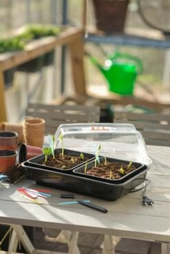 Nature Kweekkas Verwarmd 38x24cm -COPPELMANS Winkel nature kweekkas verwarmd 38x24cm 534x800 6214a026e40ab l