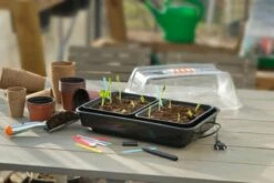 Nature Kweekkas Verwarmd 38x24cm -COPPELMANS Winkel nature kweekkas verwarmd 38x24cm 800x534 6214a0269747c l