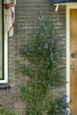 Nature Metalen Klimrek Groen - H145x57cm -COPPELMANS Winkel nature metalen klimrek groen h145x57cm 1582732962 l