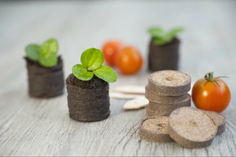 Nature Turftabletten 48st 5 Nature Turftabletten 48st - Afbeelding 3