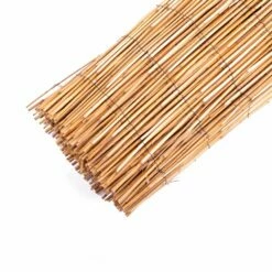 Rietmat - 300 X 150 Cm