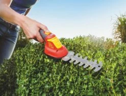 WOLF-Garten Accubuxus Finesse LI-ION PW 30B -COPPELMANS Winkel wolf garten accubuxus finesse li ion pw 30b 1619177776 1 l