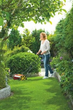 WOLF-Garten Kooimaaier 38CM TT380DL -COPPELMANS Winkel wolf garten kooimaaier 38cm tt380dl 1619177771 2 l